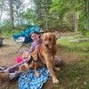 emilycrouse1